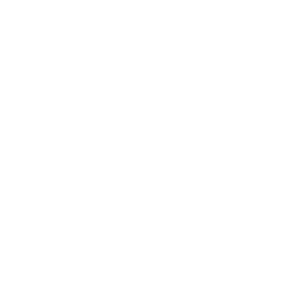 Turtle Logo